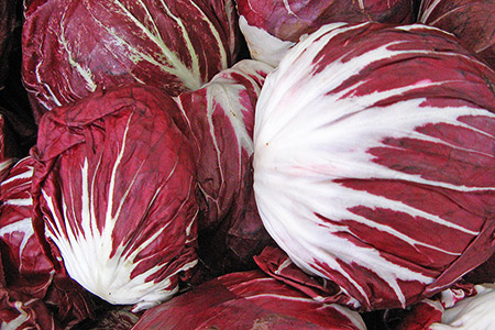 Radicchio