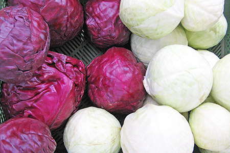 Rot- und Weißkohl